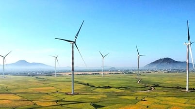 Gỡ vướng cho các dự án năng lượng tái tạo ở Ninh Thuận