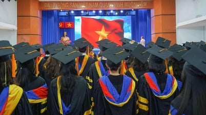Près de 29 000 docteurs exercent comme professeurs d'université, chaque école compte 119 docteurs.