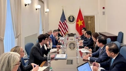 La segunda ronda de negociaciones comerciales recíprocas entre Vietnam y Estados Unidos logró resultados positivos.