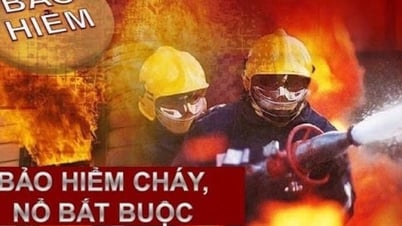 Danh mục 44 cơ sở phải mua bảo hiểm cháy, nổ bắt buộc