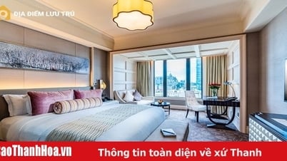 Accommodation - Discover the ideal hotels in Saigon