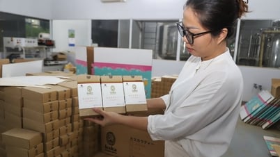 La primera empresa de Lam Dong exporta bolsitas de té de cáscara de café a Japón.