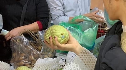 Check the use of fruit growth stimulants and weight gain chemicals