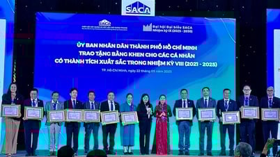 SACA có tân chủ tịch