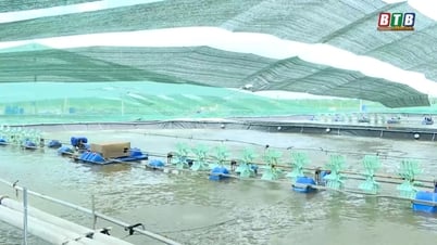 Khát vọng vươn lên của thanh niên Thái Bình