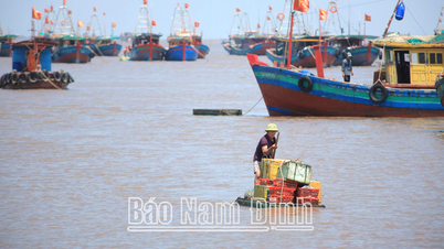 Nông dân Giao Thủy thi đua sản xuất, kinh doanh giỏi
