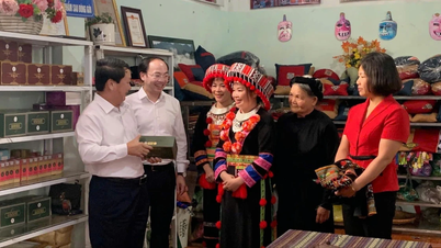 អភិវឌ្ឍសេដ្ឋកិច្ចសមូហភាព និងសហករណ៍ - ការផ្លាស់ប្តូរជាវិជ្ជមាននៅបាកាន