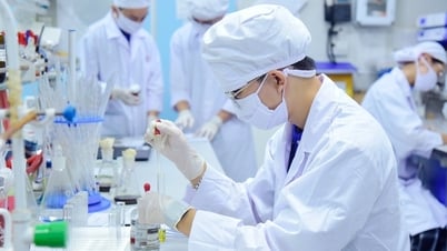 L'université récompense jusqu'à 1 milliard de VND les scientifiques ayant réalisé des inventions internationales