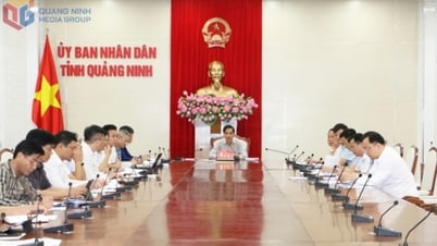 คณะกรรมการประชาชนจังหวัดจัดประชุมหารือแก้ไขปัญหาให้กับหน่วยงานอุตสาหกรรมถ่านหิน