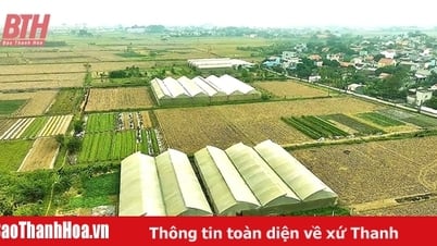 Richtiges Verständnis der Mehrzweck-Landnutzung