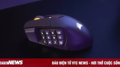 CORSAIR تقدم ماوس البث المباشر الشامل ولوحة المفاتيح القابلة للتخصيص في COMPUTEX