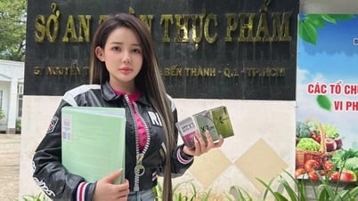 DJ Ngan 98 went to the Ho Chi Minh City Department of Food Safety to provide documents on weight loss products.