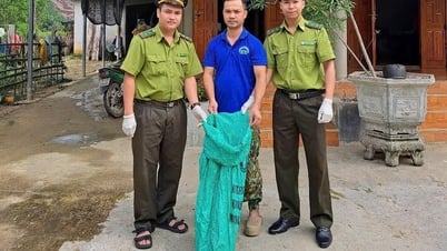 Ständiger Empfang seltener Wildtiere