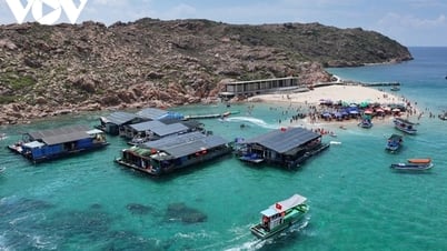 Bình Định tháo gỡ bất cập giao thông đường thủy để phát triển du lịch biển