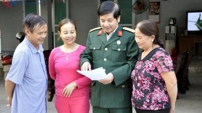 Los veteranos de la ciudad de Ha Long compiten en buena producción y negocios.