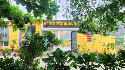 يوجد Truong Sa في قلب Gia Vien، Ninh Binh