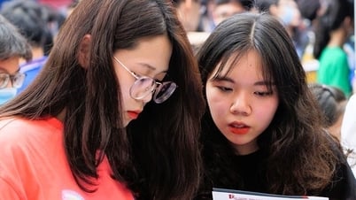 大学は入学を検討する際、IELTS が 5.0 以上の受験者には 3 ポイントを加算します。