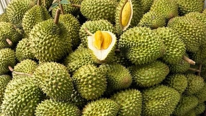 Vietnamese durian unexpectedly receives great news from China
