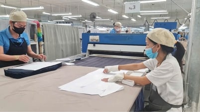 Unternehmenskultur – einzigartige Identität schafft Werte