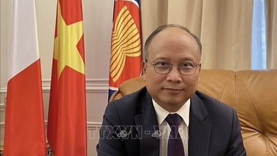 Die umfassende strategische Partnerschaft zwischen Vietnam und Frankreich eröffnet einen breiteren Raum für Zusammenarbeit