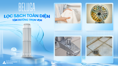 Beluga source filter – Protection for your home