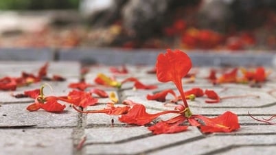 Tháng Năm và những điều còn gửi lại