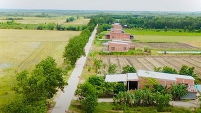 'Gold mine' in the 'alum navel' - The story of Dong Thap Muoi: 'Settling down' from the dead land (Part 2)