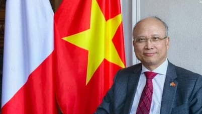 เอกอัครราชทูต Dinh Toan Thang: ให้ความสำคัญและมุ่งมั่นอย่างยิ่งต่อความร่วมมือเชิงกลยุทธ์ที่ครอบคลุมระหว่างเวียดนามและฝรั่งเศส