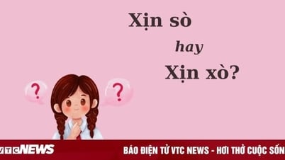 Thử thách Tiếng Việt: 'Xịn sò' hay 'xịn xò'?