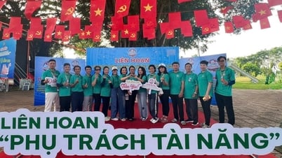 Phú Yên có 2 cá nhân được tuyên dương “Phụ trách tài năng” khu vực phía Nam