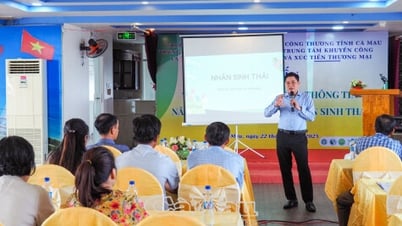 Tập huấn cung cấp thông tin nâng cao năng lực dán nhãn sinh thái