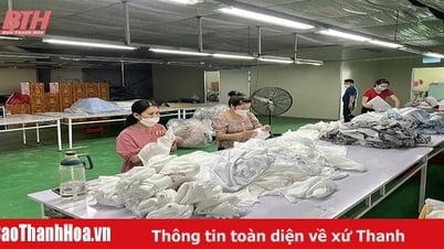 Countervailing taxes and the origin problem: Opportunities for businesses to upgrade their supply chains
