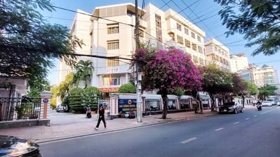 Electronic medical records connection in Khanh Hoa to reduce paperwork for patients
