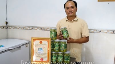 Độc đáo sản phẩm cà na đập dập đạt 3 sao OCOP