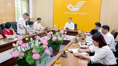 Tổng Công ty Bưu điện Việt Nam làm việc với Bưu điện Tuyên Quang về đổi mới mô hình tổ chức và sản xuất kinh doanh
