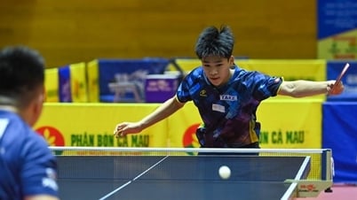 Xác định các đội vào chung kết đồng đội Giải vô địch bóng bàn Quốc gia Báo Nhân Dân
