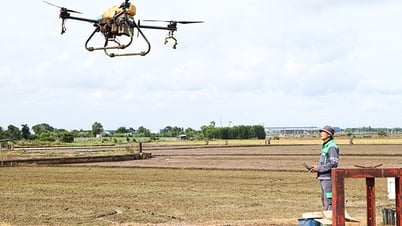 Iniciar un negocio en el campo con drones