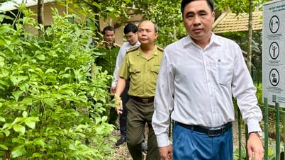 សកម្មភាពជាក់ស្តែងសម្រាប់ការអភិរក្សជីវចម្រុះ