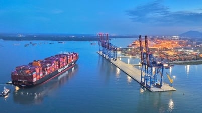 Port industry outlook in the eye of tariff storm