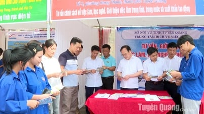 1.200 lao động tham gia Phiên giao dịch việc làm huyện Sơn Dương