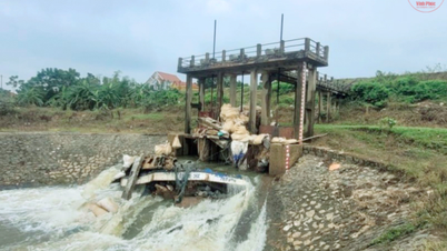 Khẩn trương triển khai phương án hộ đê, bảo vệ trọng điểm cống Triệu Đề