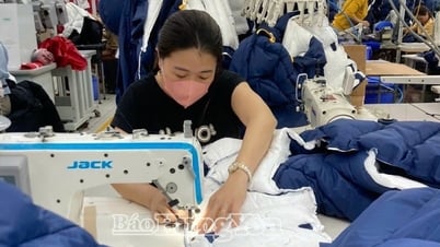 Textile and garment enterprises in Hung Yen proactively respond to tariff pressure from the US