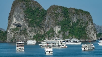 เรือสำราญหยุดให้บริการชั่วคราวในอ่าวฮาลอง บังคับให้นักท่องเที่ยวใช้ขวดพลาสติก