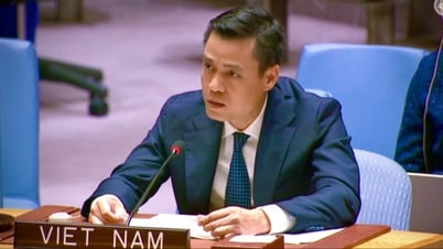 Вьетнам призывает к соблюдению международного права и развитию многостороннего сотрудничества в целях укрепления морской безопасности ради глобальной стабильности.