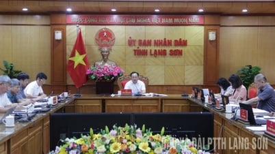 ថ្នាក់ដឹកនាំគណៈកម្មាធិការប្រជាជនខេត្តធ្វើការជាមួយសាជីវកម្មឧស្សាហកម្មរ៉ែ Viet Bac TKV-CTCP - កាសែត Lang Son និងស្ថានីយ៍វិទ្យុ និងទូរទស្សន៍