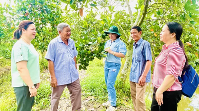 Vận động hỗ trợ nhân dân phát triển kinh tế, giảm nghèo