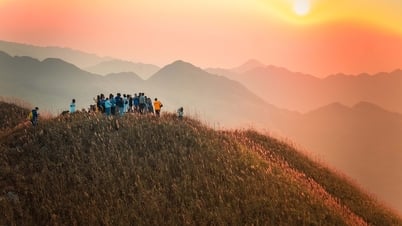 Visitez Phoenix Hill pendant la saison de l'herbe verte