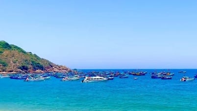 Ca nô du lịch ở Bình Định hoạt động sao cho an toàn?