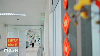 ดานังติดตามสถานการณ์การแพร่ระบาดของโรคโควิด-19 อย่างใกล้ชิด