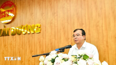 Hai Duong y Hai Phong acuerdan implementar infraestructura de TI después de la fusión
